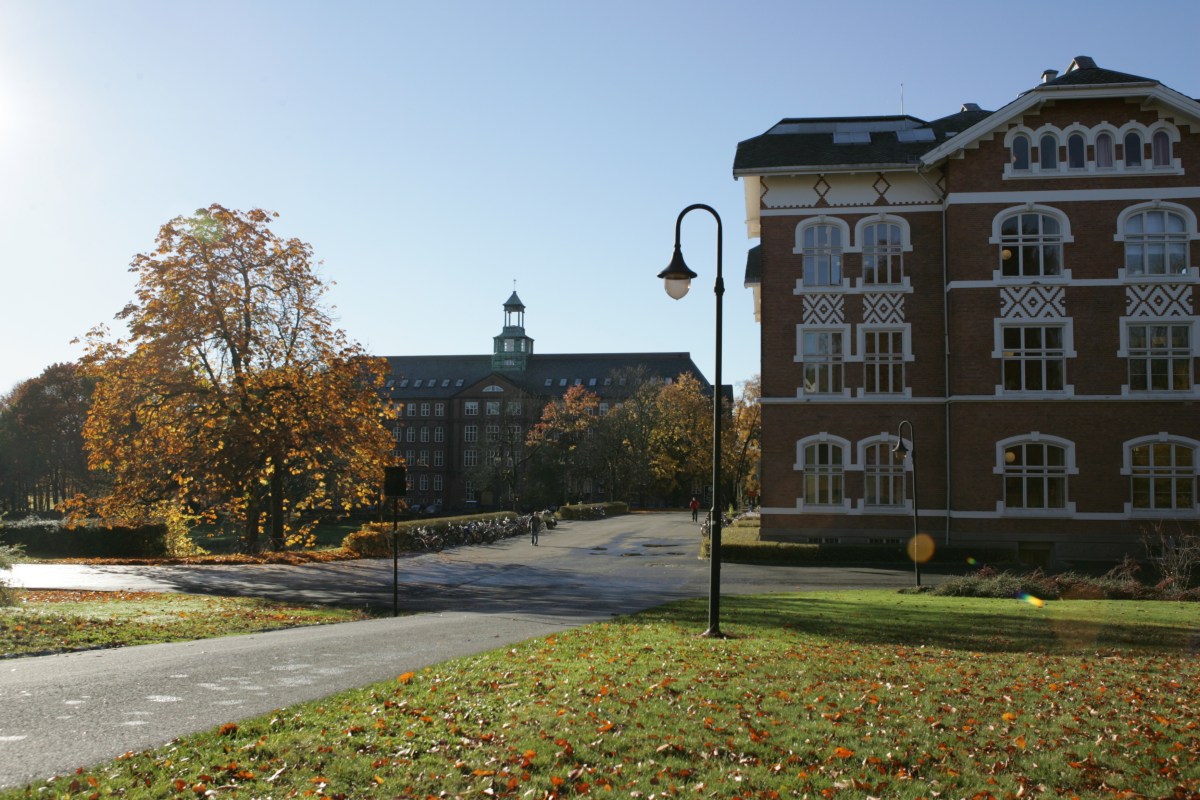 Welcome to the CauseHealth&nbsp;blog!