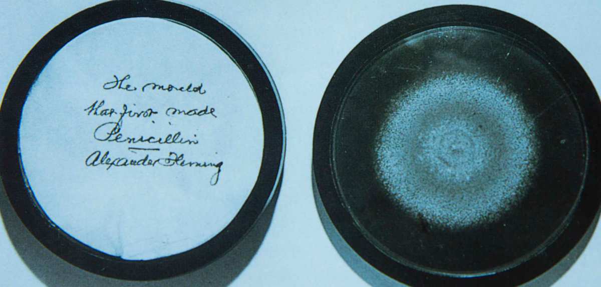 Serendipity and the value of&nbsp;networks