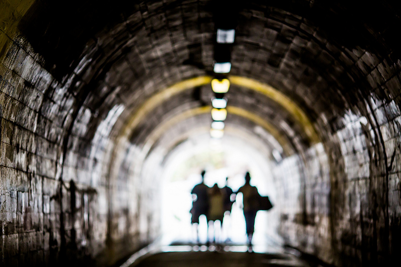 Imagination and its&nbsp;Companions