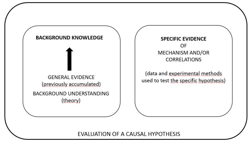 Fig.1